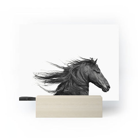 Eye Poetry Photography Wild Horse Photography in Black and White Mini Art Print