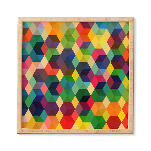 Fimbis Hexagonzo Framed Wall Art