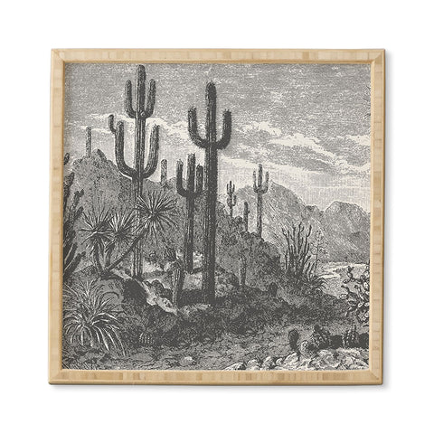 Florent Bodart Aster Cactus in Mountains Framed Wall Art