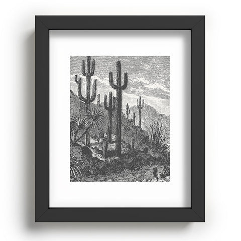 Florent Bodart Aster Cactus in Mountains Recessed Framing Rectangle
