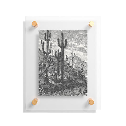 Florent Bodart Aster Cactus in Mountains Floating Acrylic Print