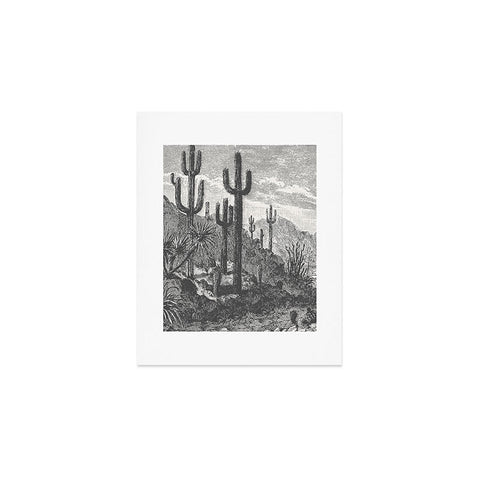 Florent Bodart Aster Cactus in Mountains Art Print