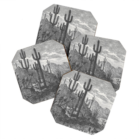 Florent Bodart Aster Cactus in Mountains Coaster Set