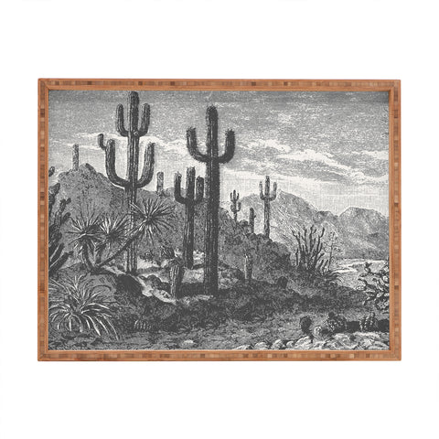 Florent Bodart Aster Cactus in Mountains Rectangular Tray