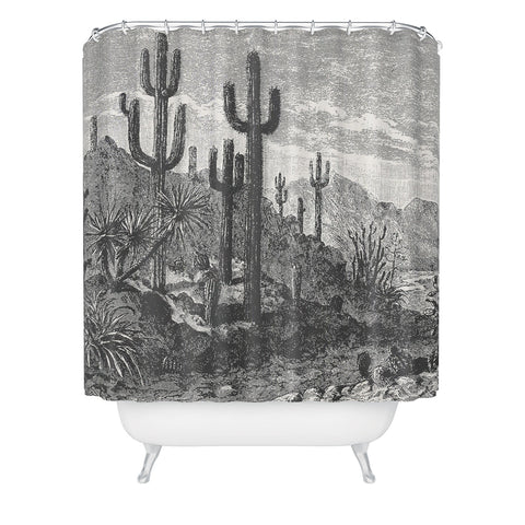 Florent Bodart Aster Cactus in Mountains Shower Curtain