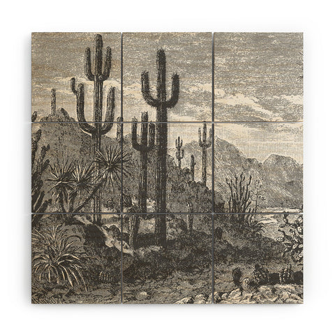 Florent Bodart Aster Cactus in Mountains Wood Wall Mural