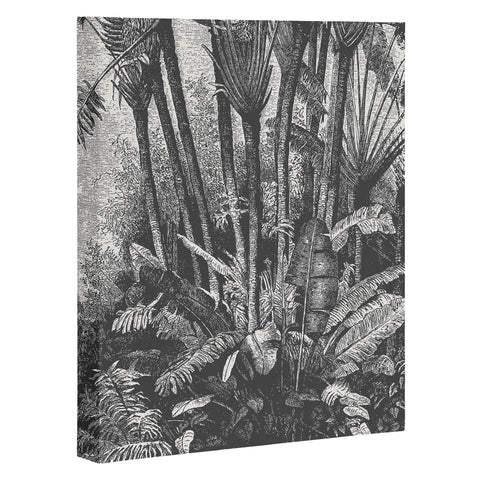 Florent Bodart Aster Palms in Water Art Canvas