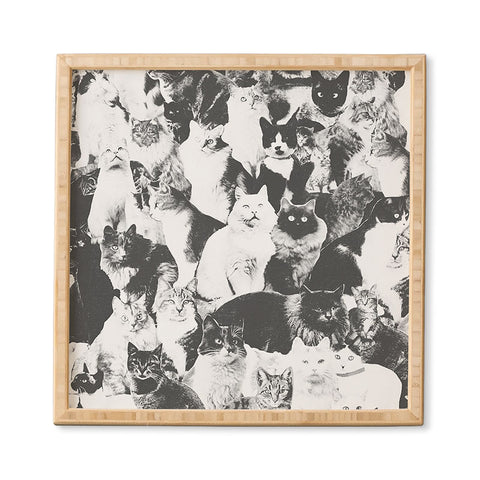 Florent Bodart Cats Forever BW Framed Wall Art