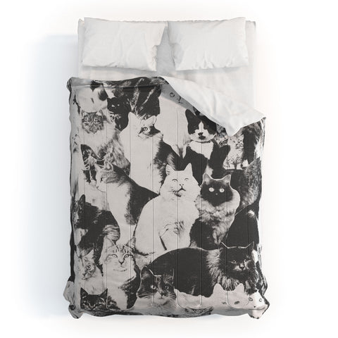 Florent Bodart Cats Forever BW Comforter