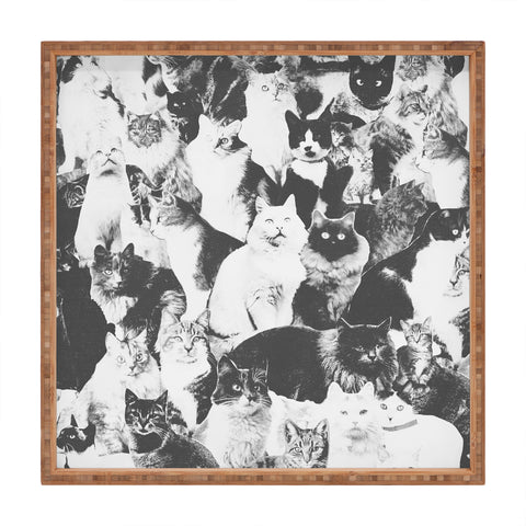 Florent Bodart Cats Forever BW Square Tray