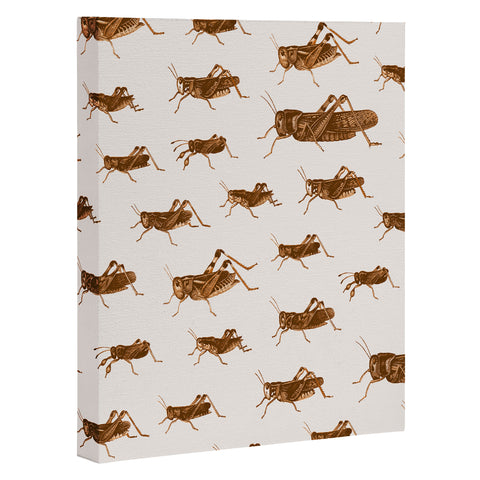 Florent Bodart Crickets Art Canvas