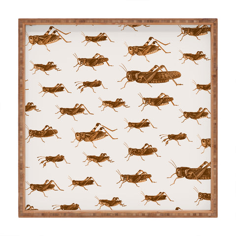 Florent Bodart Crickets Square Tray