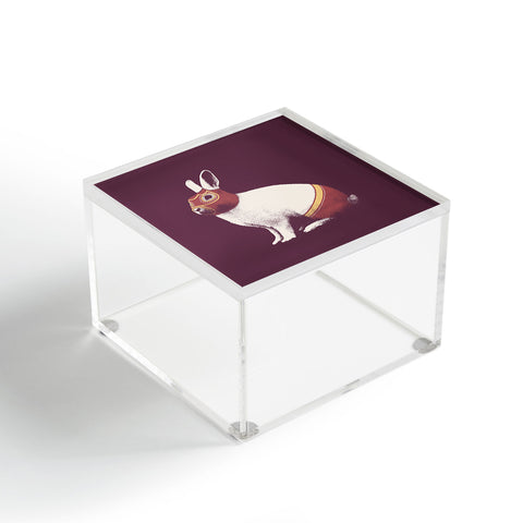 Florent Bodart Rabbit Wrestler Lapin Catcheur Acrylic Box
