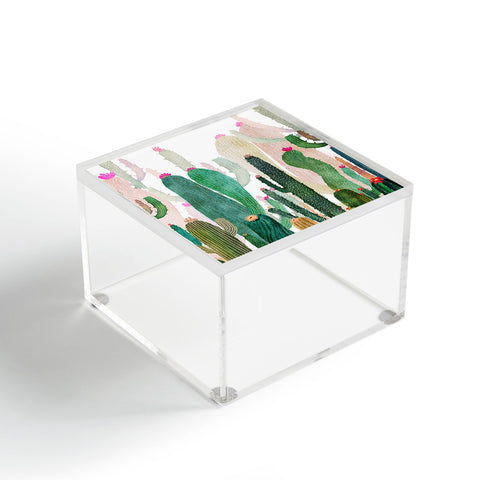 Francisco Fonseca Cactus Forest Acrylic Box
