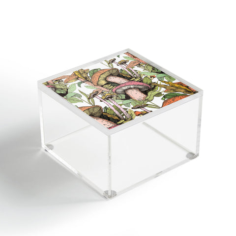 Francisco Fonseca wild Mushrooms Acrylic Box