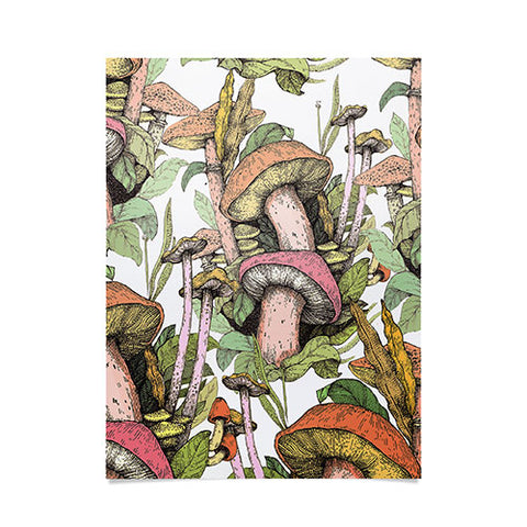 Francisco Fonseca wild Mushrooms Poster