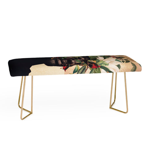 Frank Moth Birds Are My Real Origin Bench