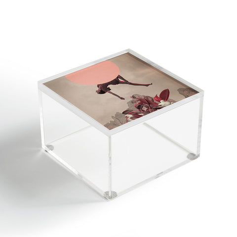 Frank Moth The Fall Acrylic Box