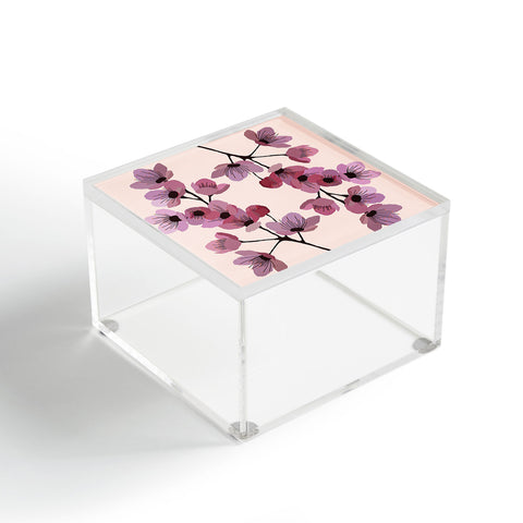 Gabi Linternas Acrylic Box