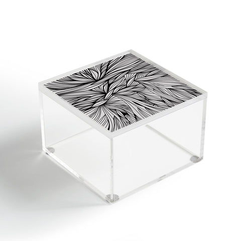 Gabi Neverland Acrylic Box