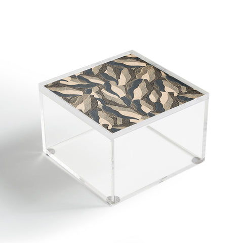 Gabriela Fuente Fuzz Acrylic Box