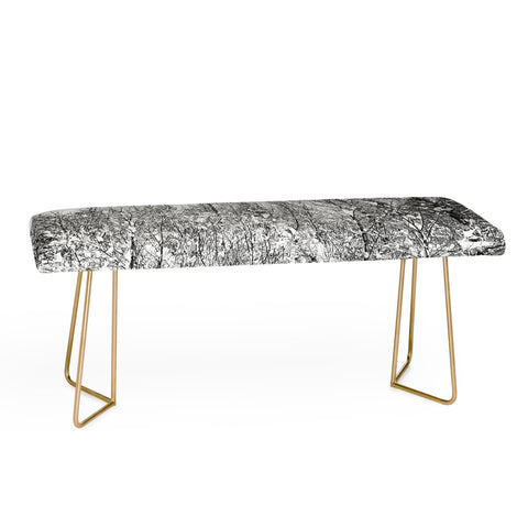 Gabriela Fuente snowland Bench