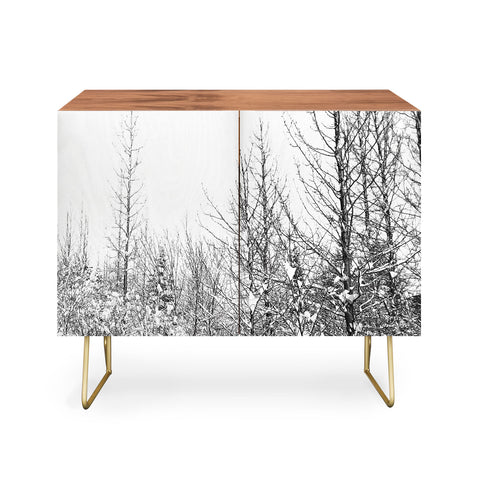 Gabriela Fuente snowland Credenza