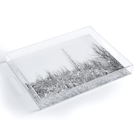 Gabriela Fuente snowland Acrylic Tray
