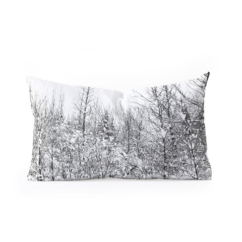 Gabriela Fuente snowland Oblong Throw Pillow