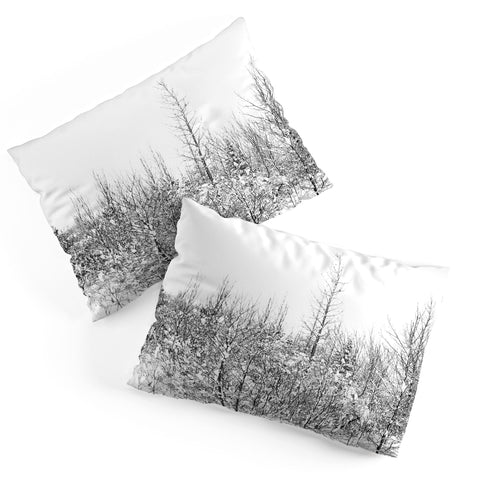 Gabriela Fuente snowland Pillow Shams