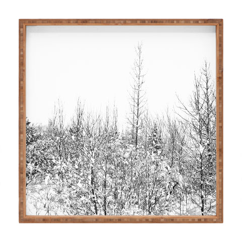 Gabriela Fuente snowland Square Tray