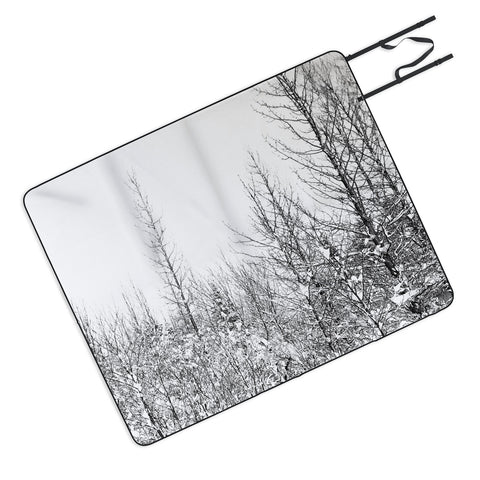 Gabriela Fuente snowland Picnic Blanket