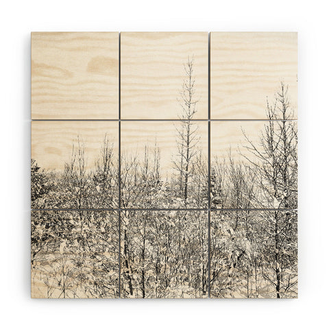 Gabriela Fuente snowland Wood Wall Mural