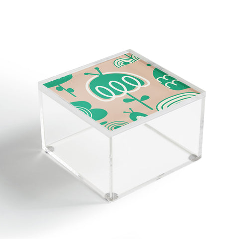 Gabriela Larios Salmon Garden Acrylic Box