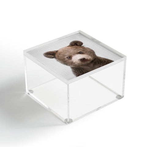 Gal Design Baby Bear Colorful Acrylic Box