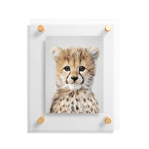 Gal Design Baby Cheetah Colorful Floating Acrylic Print