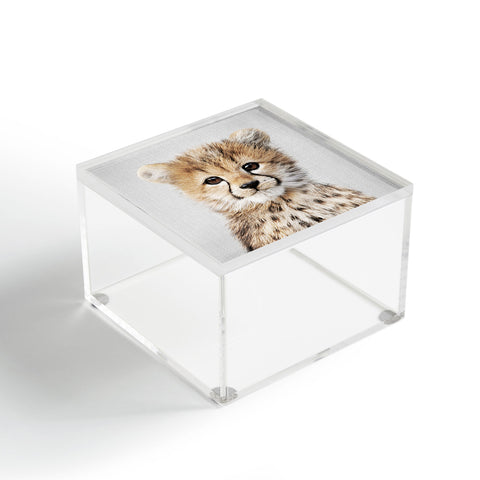 Gal Design Baby Cheetah Colorful Acrylic Box