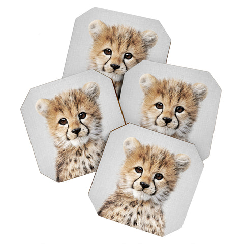 Gal Design Baby Cheetah Colorful Coaster Set