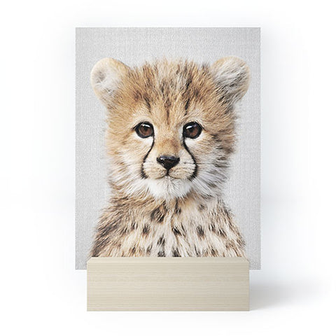 Gal Design Baby Cheetah Colorful Mini Art Print