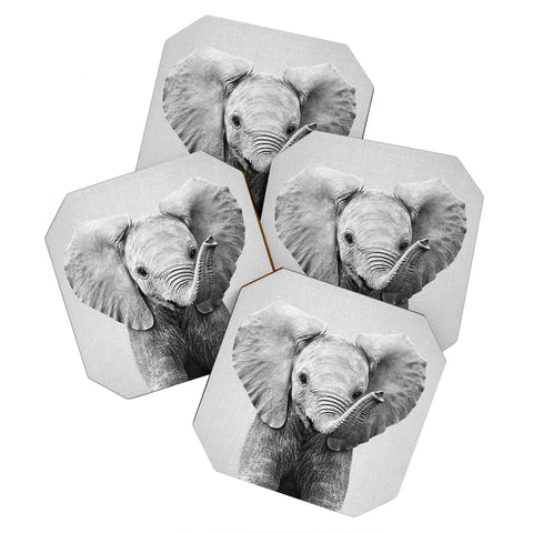 Gal Design Baby Elephant Black White Coaster Set