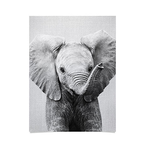Gal Design Baby Elephant Black White Poster