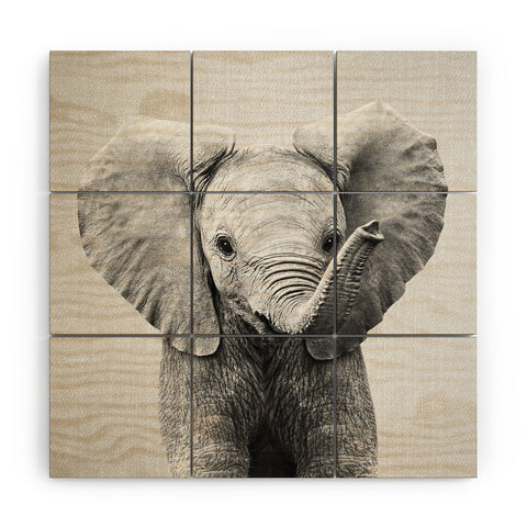 Gal Design Baby Elephant Black White Wood Wall Mural