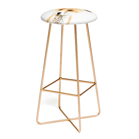 Gal Design Baby Fox Colorful Bar Stool