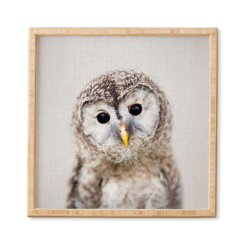 Gal Design Baby Owl Colorful Framed Wall Art