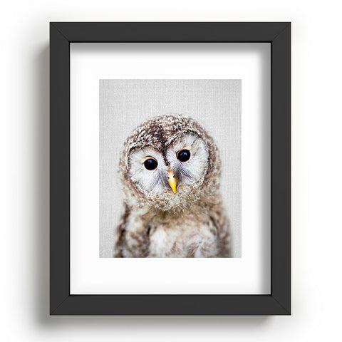 Gal Design Baby Owl Colorful Recessed Framing Rectangle