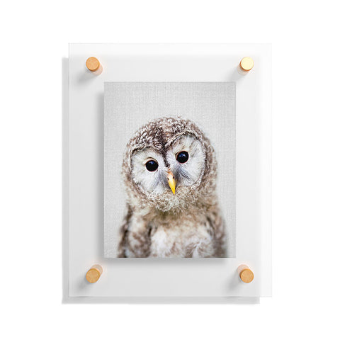 Gal Design Baby Owl Colorful Floating Acrylic Print