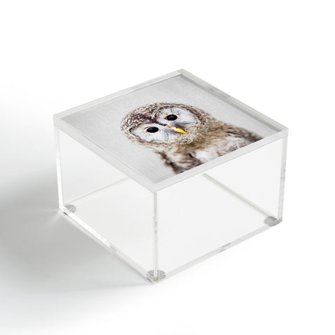 Gal Design Baby Owl Colorful Acrylic Box