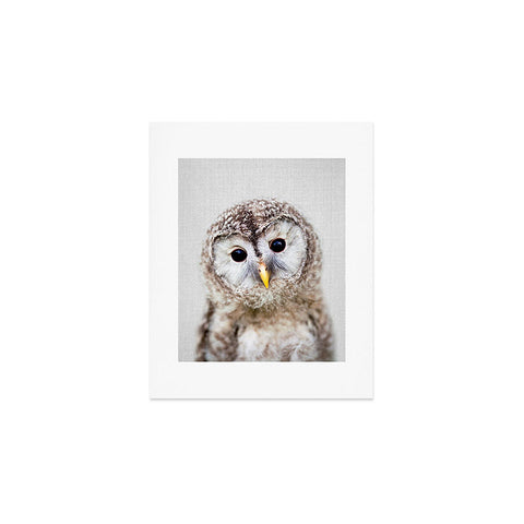 Gal Design Baby Owl Colorful Art Print