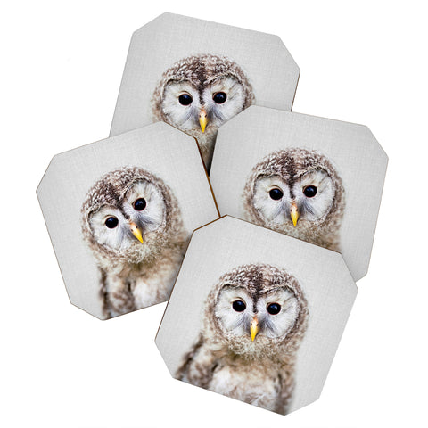Gal Design Baby Owl Colorful Coaster Set