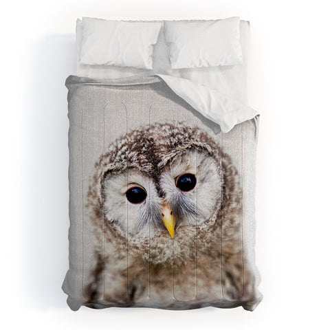 Gal Design Baby Owl Colorful Comforter